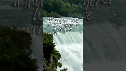 Surviving Niagara's Plunge