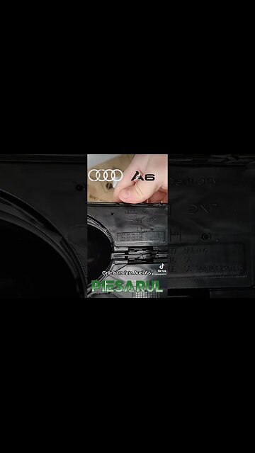 Grile bara fata Audi A6