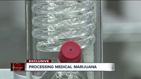 Medical marijuana processor breaks ground