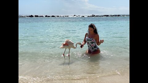 Lauren Nichole's Vacay in Aruba Part 4