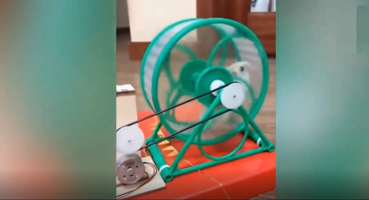 The cat relaxes next to a ventilator that the power source is a hamster.