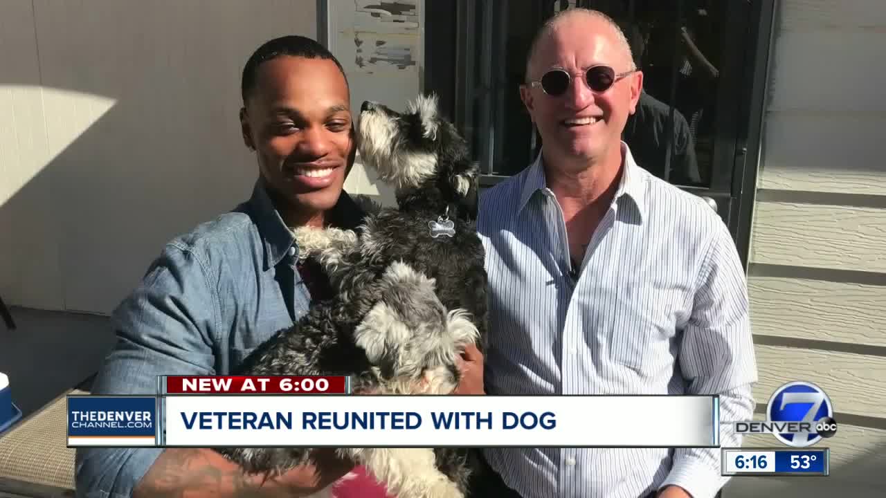 Soldier reunited with dogs after one dog escaped under caretaker's fence