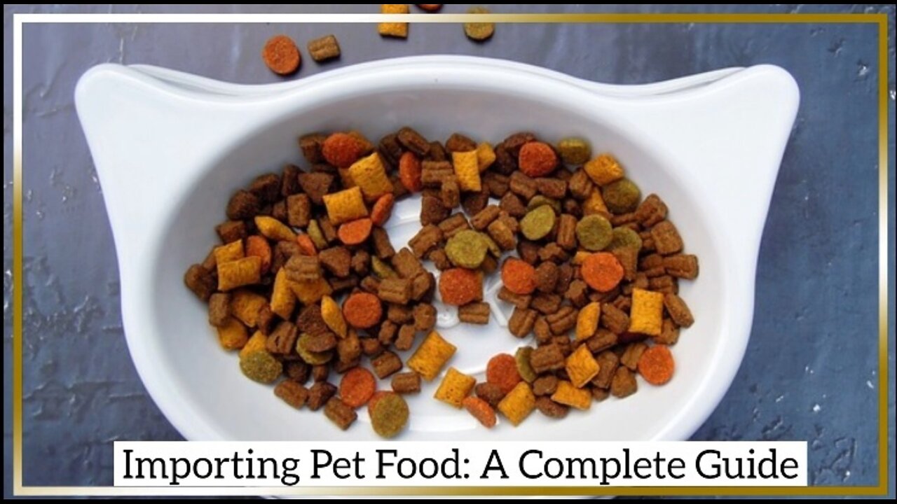 Expert Tips for Importing Pet Food and Treats into the USA