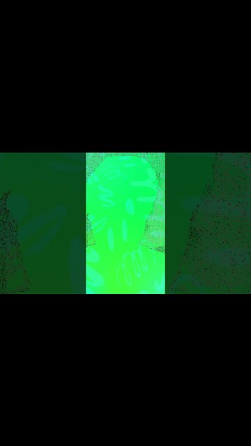 QUEM SERÁ O CAMUFLADO?