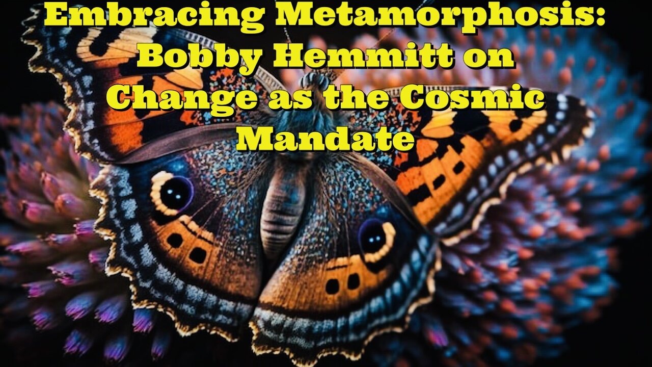 Bobby Hemmitt: Embracing Metamorphosis