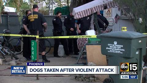 Two people remain hospitalized after Phoenix dog attack