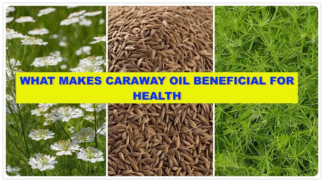 What Makes Caraway Oil Beneficial for Health