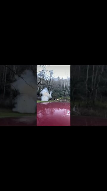 #appliancerepair #spacex #stayfree #farmstead #stayfree #thefreeamerican #tannerite #vetlife #vet