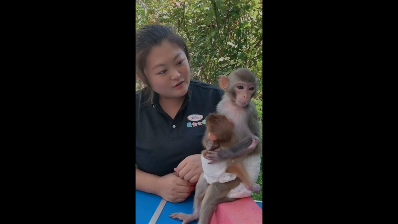 Cute Monkey baby play with girls