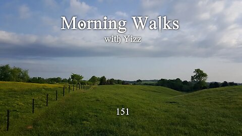 Morning Walks with Yizz 151