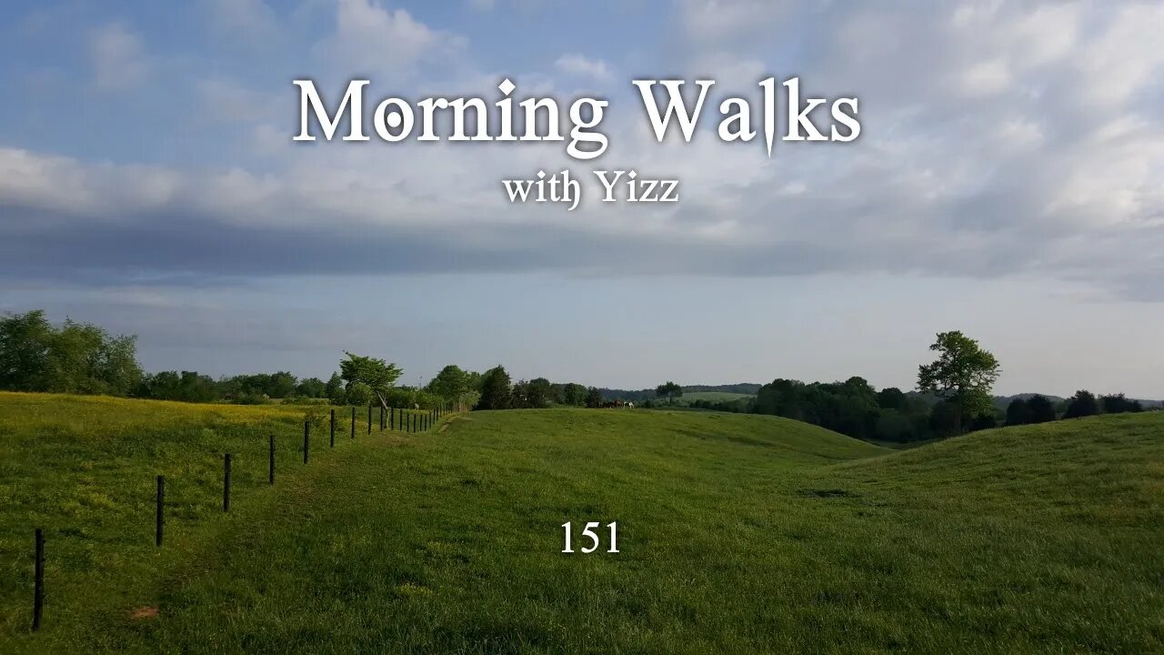 Morning Walks with Yizz 151