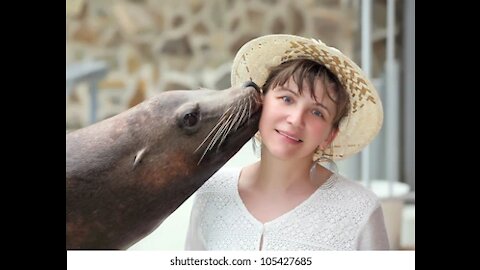 Aww 😍kissing a seal