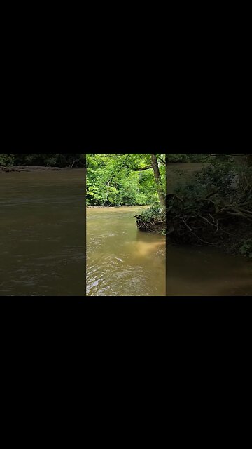 The River in the Back is Running High after Last Night's Rain