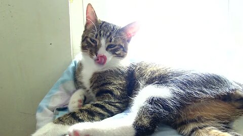 What Was That?...aah...Nothing