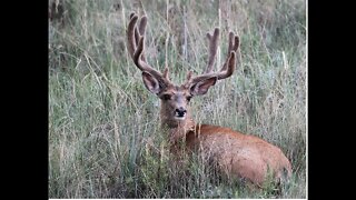 Hunting, Fishing, Camping Pictures
