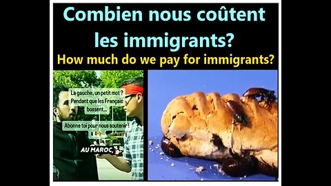 (3m30) France, Québec __ Combien nous COÜTENT les immigrants?