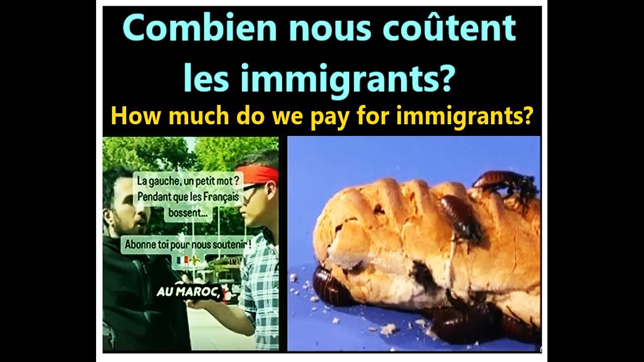 (3m30) France, Québec __ Combien nous COÜTENT les immigrants?