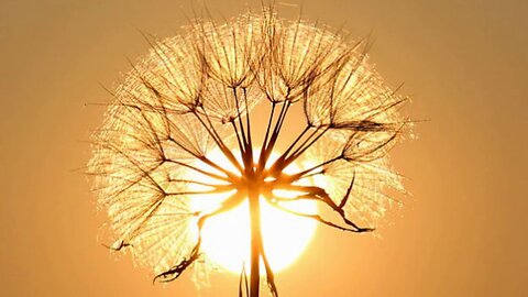 relaxing music, meditation music,meditation,music