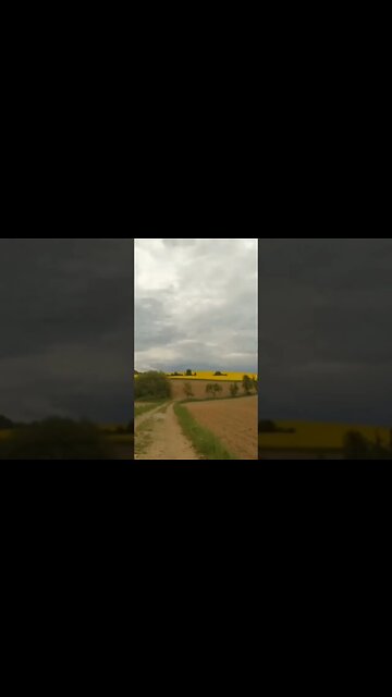 A LOUCURA DOS VOTOS PRECIPITADOS.#shorts