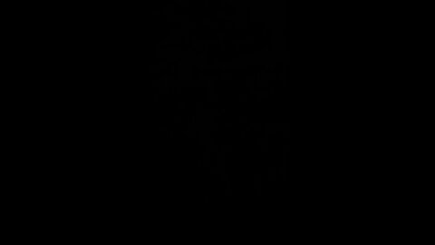 How to pronounce antidisestablishmentarianism