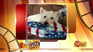 Our Art's Cameras Plus Picture of the Day for June 3!