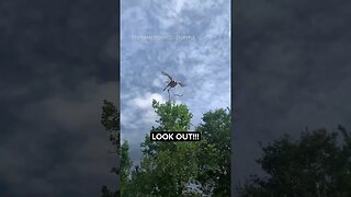 "Claws Out" OH Hell No!