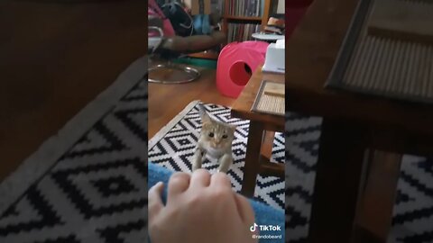 One ear dodge