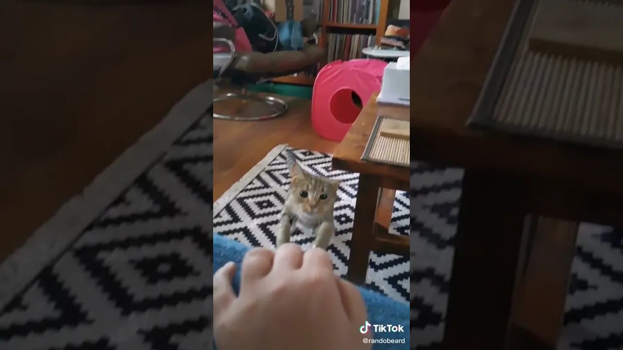 One ear dodge