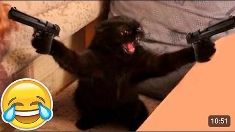 Funny animals video😂funniest cats and dogs videos🐱🐶