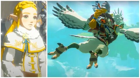 Zelda BOARDS Vah BIRD