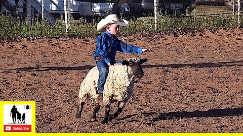 Mutton Bustin' 🦙 2022 Saint's Roost Jr. Ranch Rodeo | Thursday - CENSORED