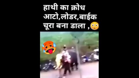 Engry Elephant Destroyed Auto Bike etc