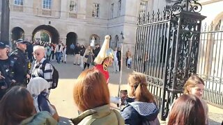 Make way for the kings guard 8 October 2022 #horseguardsparade