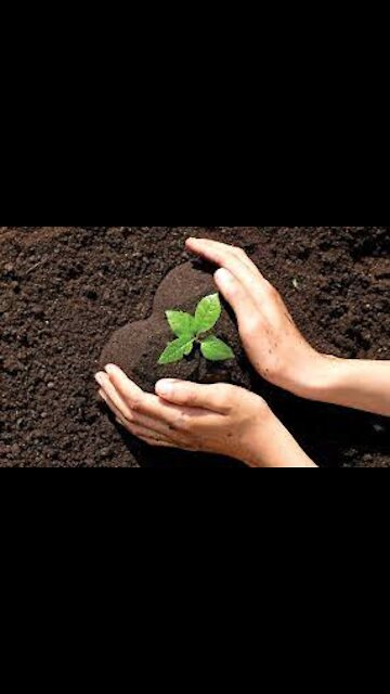 Are You Good Soil? (Everyone Has An Extra 60 Seconds)