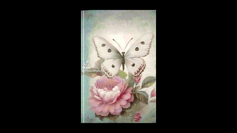 Butterfly and pink flower full coverage counted cross stitch pattern