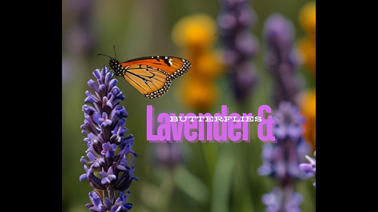 Wings of Beauty: Bees and Butterflies Amidst Lavender Blooms