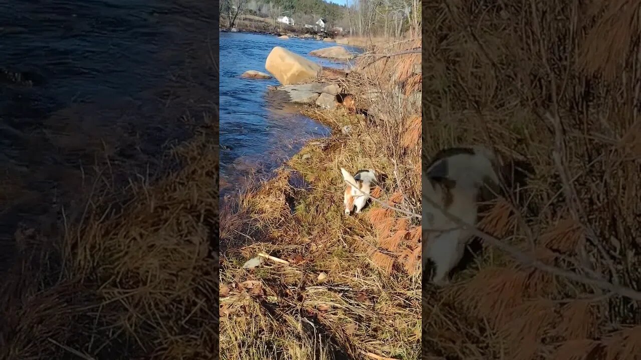 Beautiful Morning.. ☀️