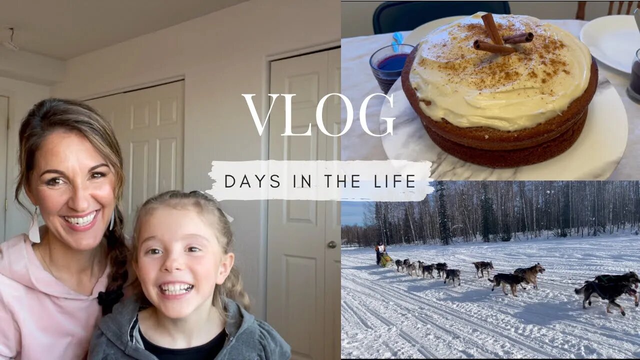 Homesteading In Alaska / Moving My Food Storage / Grocery Haul / Pumpkin Cake / Alaskan Dogsled Race