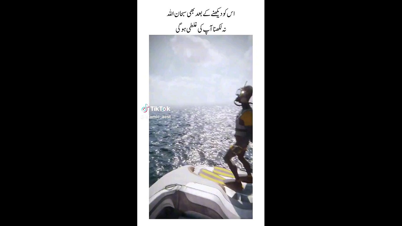 boot crash in a water sharq