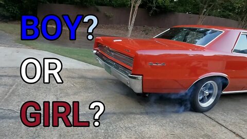 Gender Reveal Burnout!!!