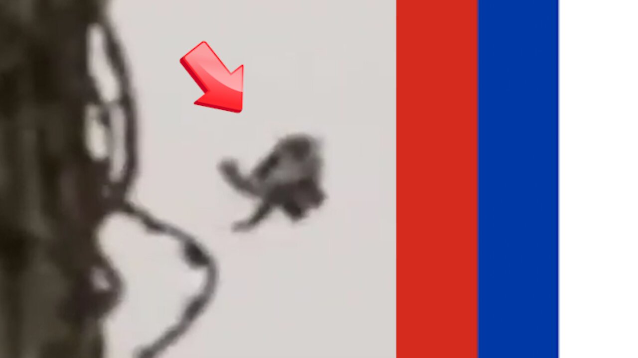 A Reptilian flying somewhere in the sky in Russia on April 21 2021 [Space]