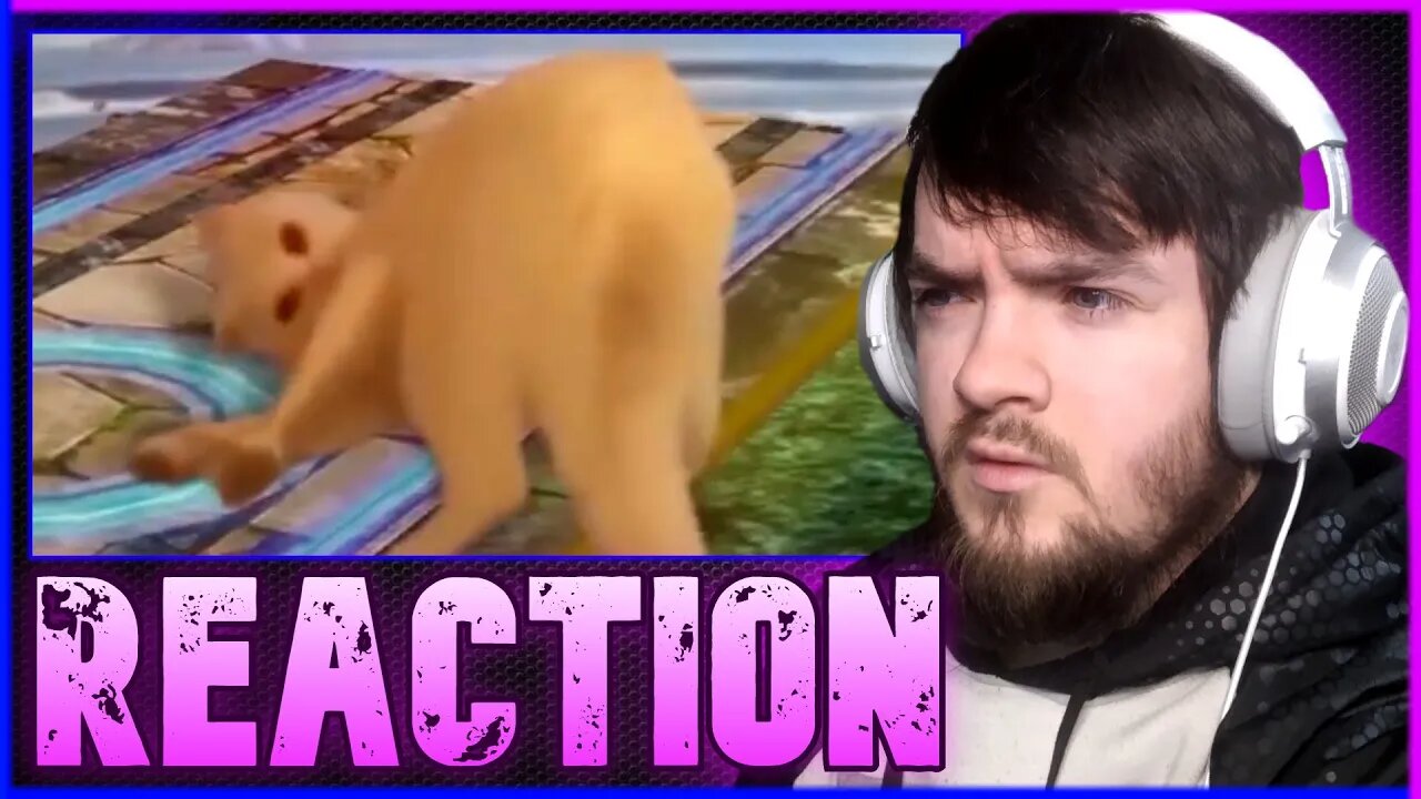 These Are ACTUALLY Funny (Reaction) Unusual Videos