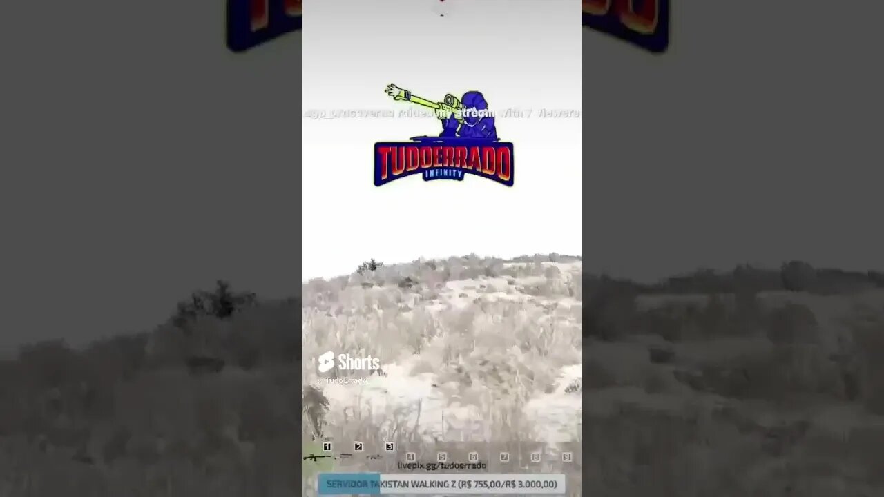 HIGHLIGHTS TAKISTAN #shorts #dayz #sniper #dayzmod #camper