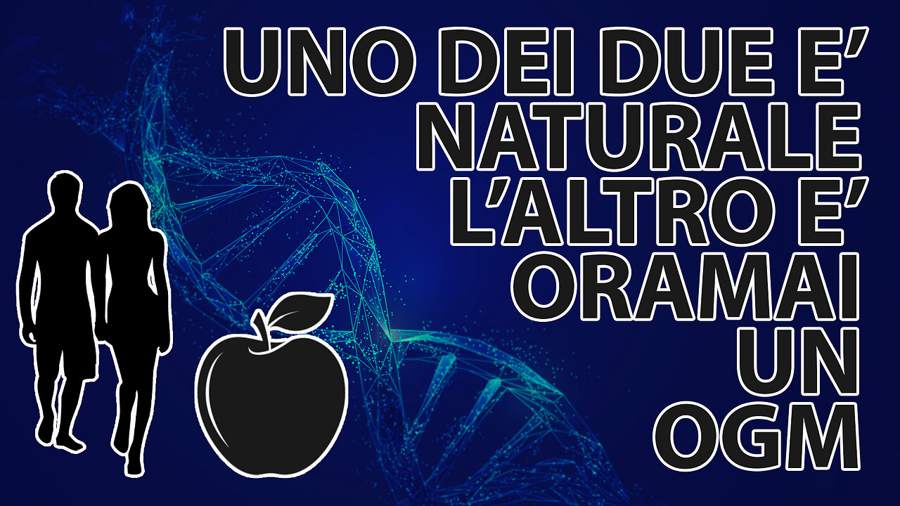 Scioccante testimonianza in tribunale del Prof. Buckhaults