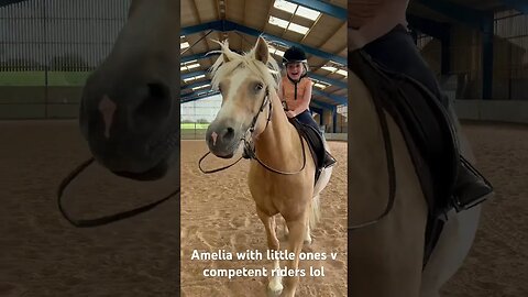 This horse is just amazing #shortsfeed #viral #youtubeshorts #horseriding #bareback #equestrian #fyp