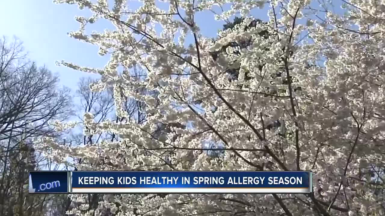 Keeping kids healthy in spring allergy season