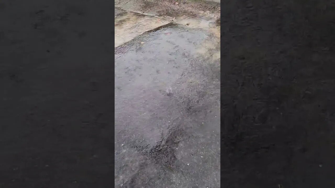 rainy work day