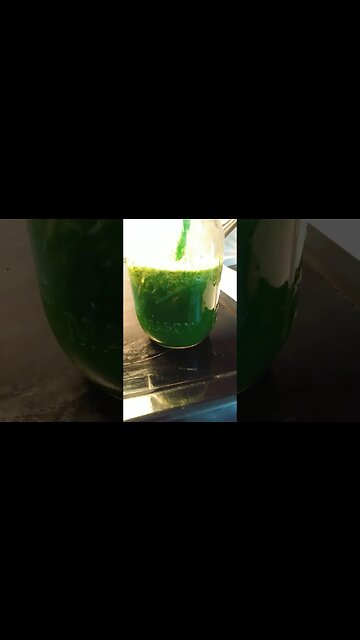 Day 6 of My 30-Day green juice challenge 🍏🍏🍏🍏🍏