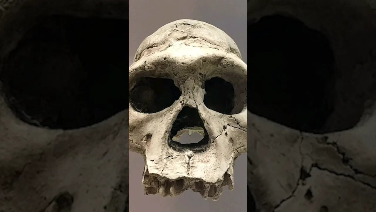 Dmanisi İnsanlarıyla Homo erectus'un Ayak İzlerini Sürün #shorts