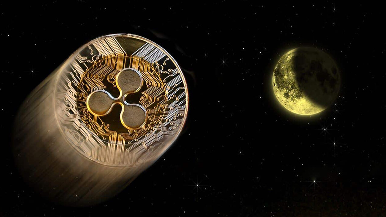 XRP RIPPLE STUART ALDEROTY MOOOOON !!!!!!!!